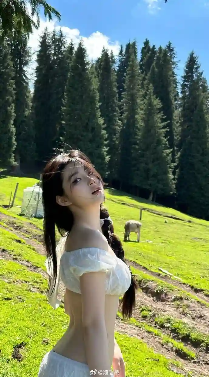 搜狗助手工作界面示意图