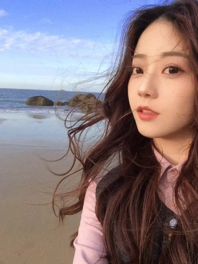 Mac磁力下载流量增长趋势